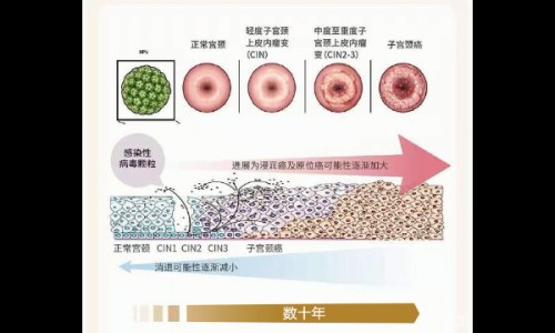 儿脾醒颗粒可以长期吃吗-儿脾醒颗粒能长期吃吗网儿脾醒颗粒可以长期吃吗知识网站,分享儿脾醒颗粒正确吃法大全